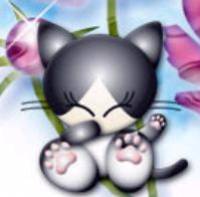 c trop mimi